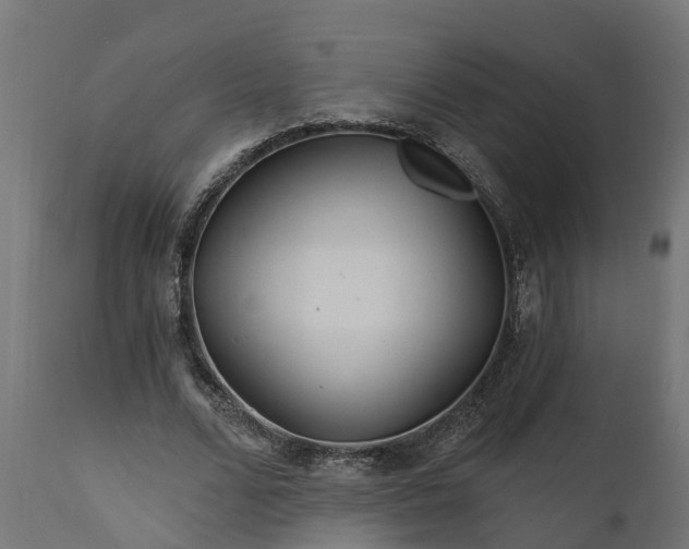 X0000111510680200907281314