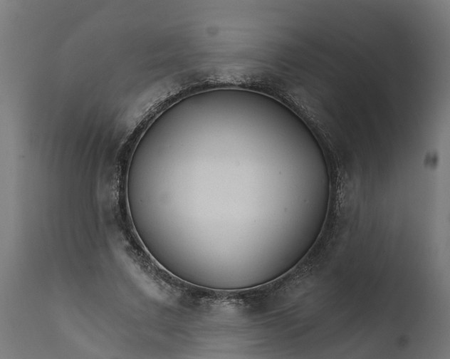 X0000111510683200907281314