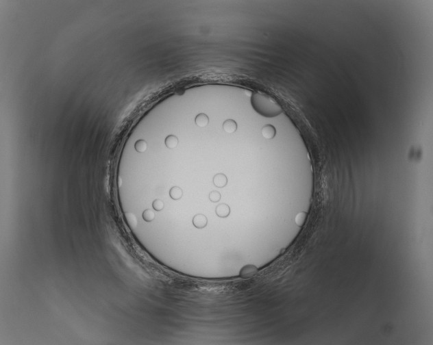 X0000111510686200907281314