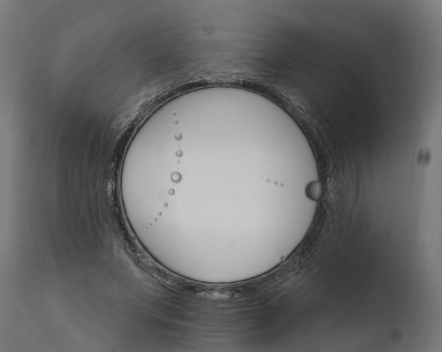 X0000111510687200907281314