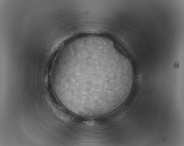 X0000111510688200907281314
