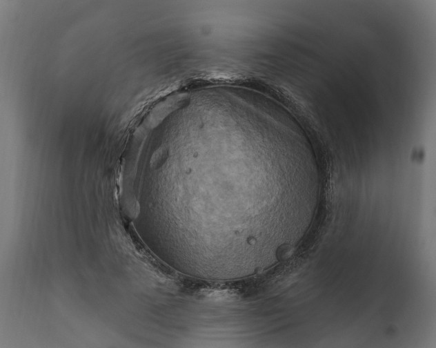 X0000111510689200907281314