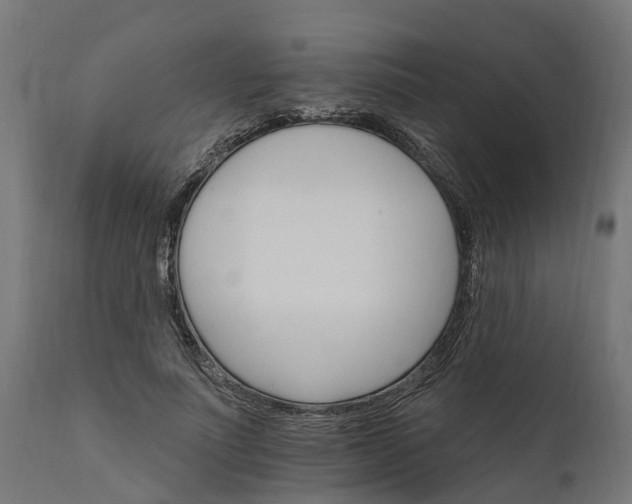 X0000111510691200907281314