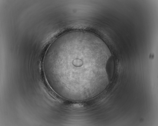 X0000111510692200907281314