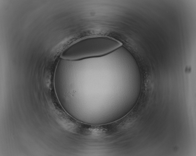 X0000111510693200907281314