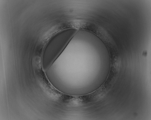 X0000111510696200907281314