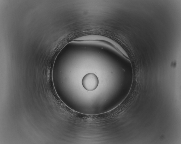 X0000111510697200907281314