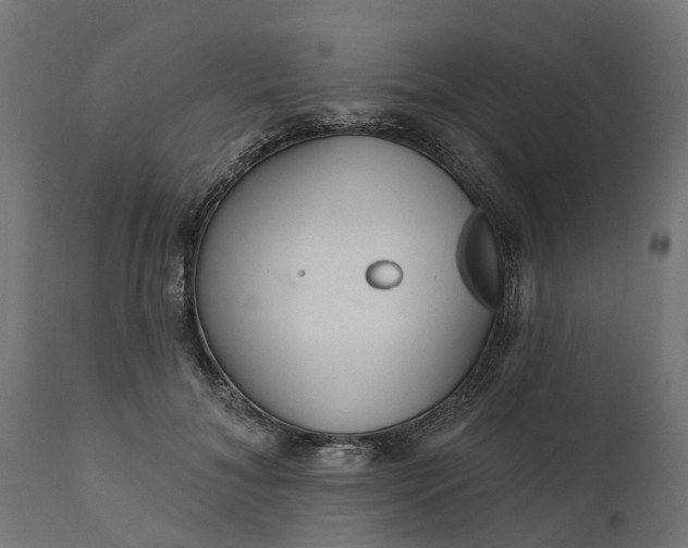 X0000111510700200907281314