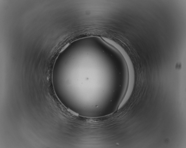 X0000111510701200907281314