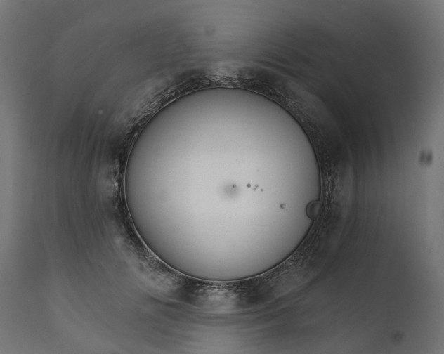 X0000111510702200907281314