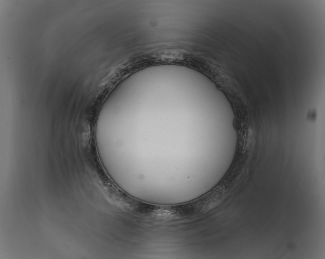 X0000111510704200907281314