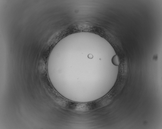 X0000111510705200907281314