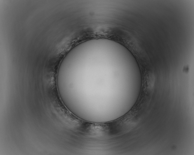 X0000111510706200907281314