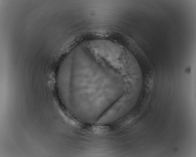 X0000111510707200907281314