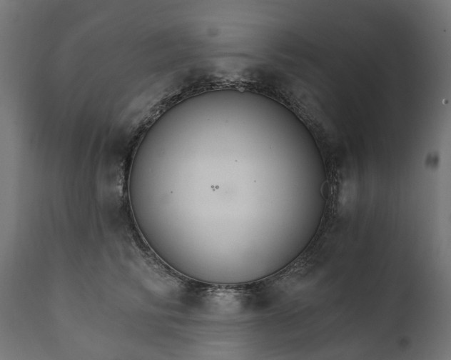 X0000111510710200907281314