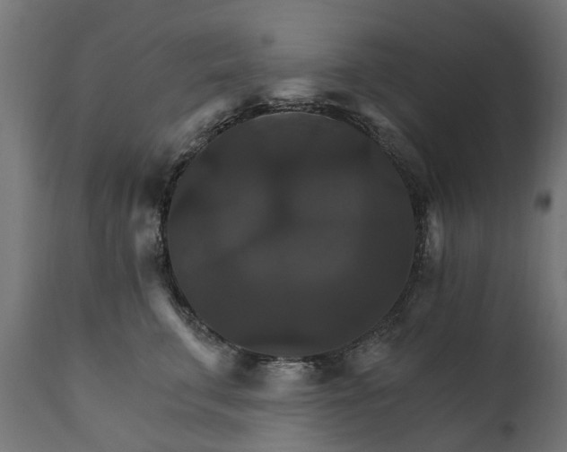 X0000111510711200907281314
