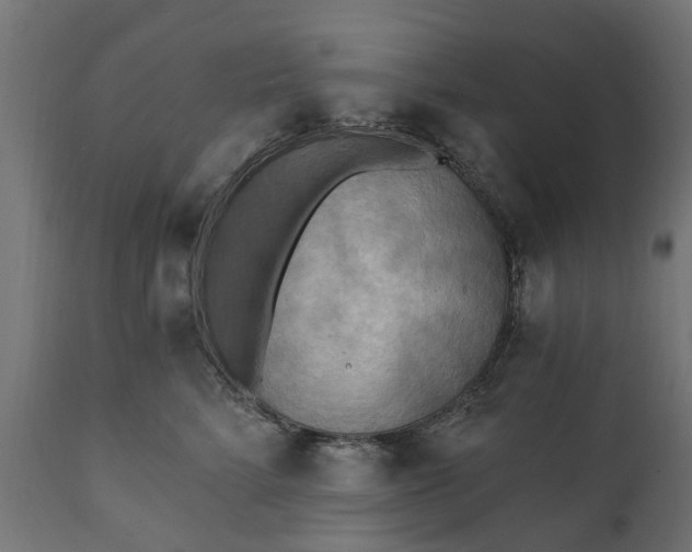 X0000111510712200907281314
