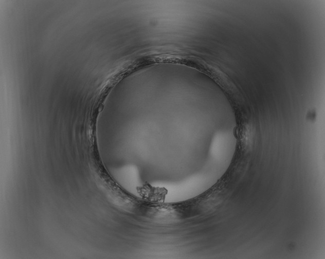 X0000111510715200907281314