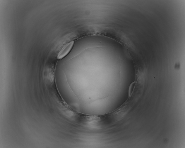 X0000111510719200907281314