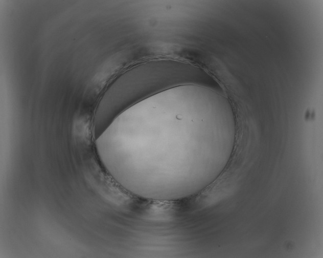 X0000111510720200907281314