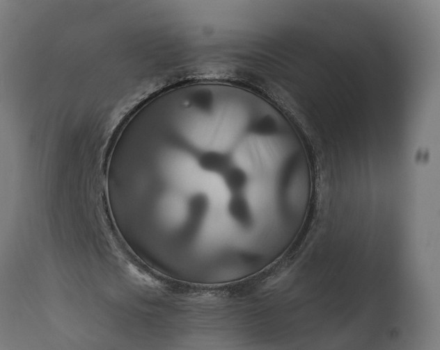 X0000111510721200907281313