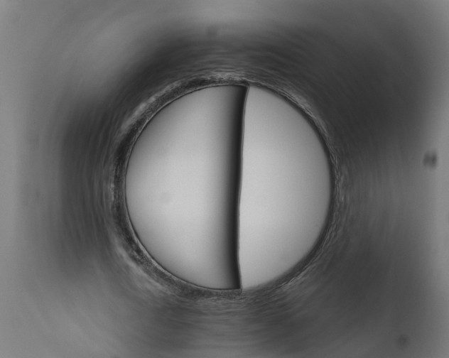 X0000111510722200907281313