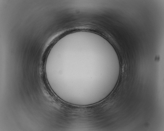 X0000111510724200907281313