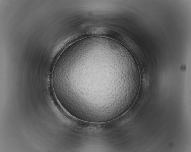 X0000111510725200907281313