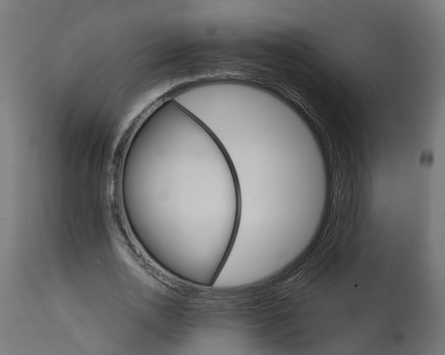 X0000111510726200907281313