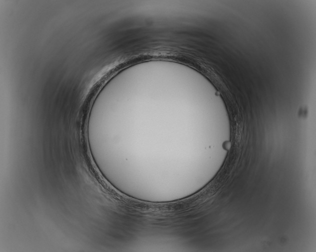 X0000111510727200907281313