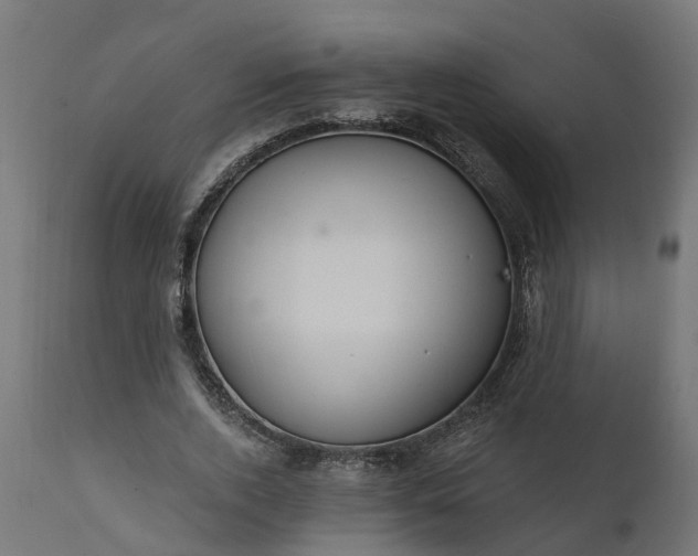 X0000111510728200907281313