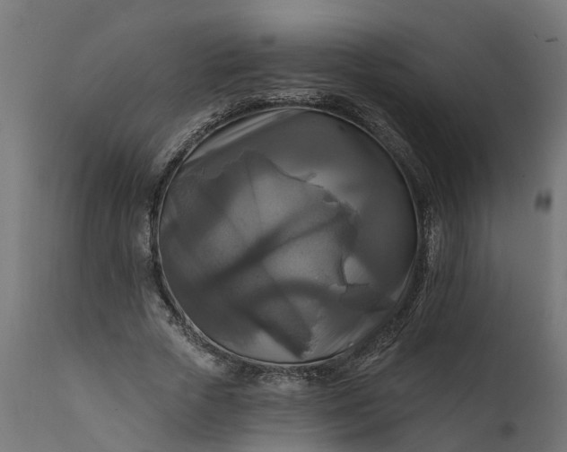 X0000111510729200907281313