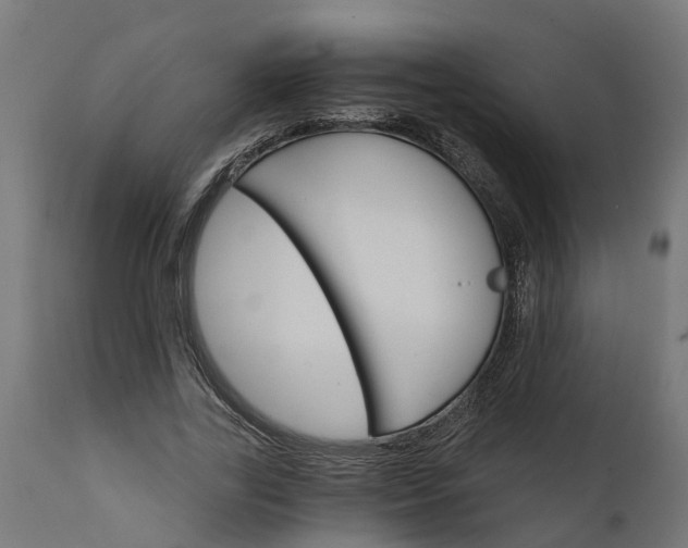 X0000111510731200907281313