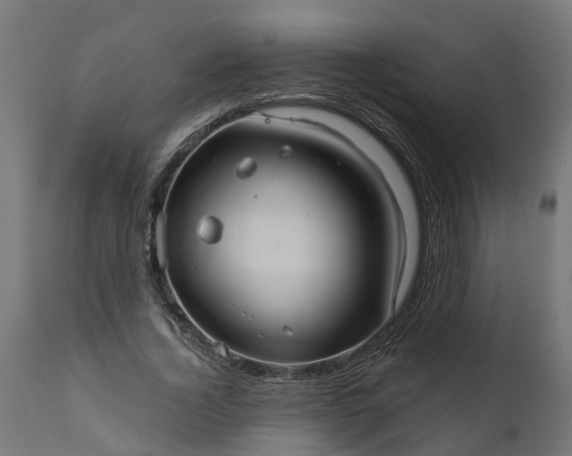 X0000111510732200907281313