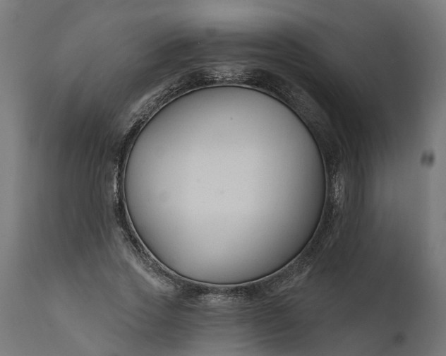 X0000111510733200907281313