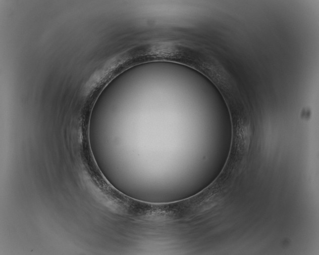 X0000111510734200907281313