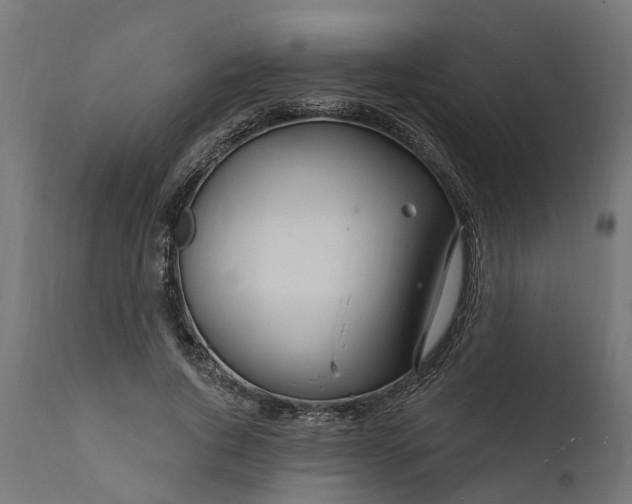 X0000111510736200907281313