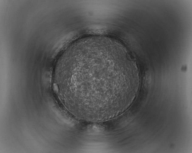 X0000111510739200907281313