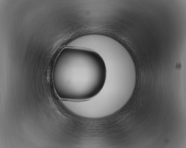 X0000111510740200907281314