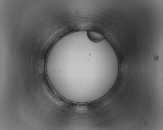 X0000111510741200907281314