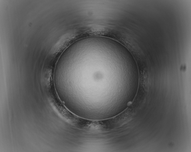 X0000111510742200907281314