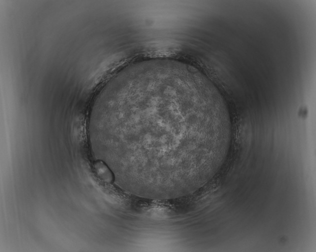 X0000111510743200907281314