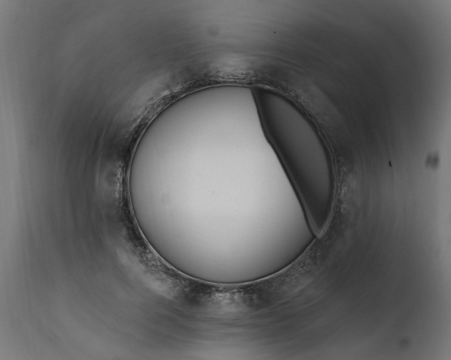 X0000111510744200907281314