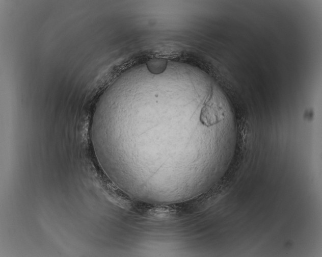 X0000111510745200907281314