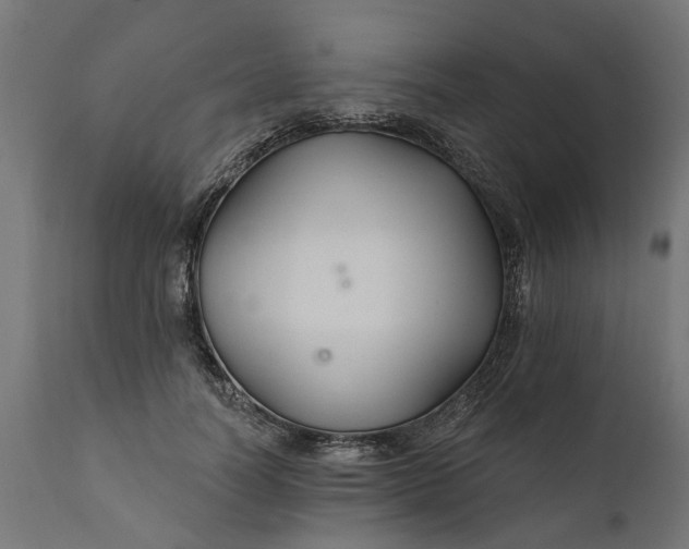 X0000111510746200907281314