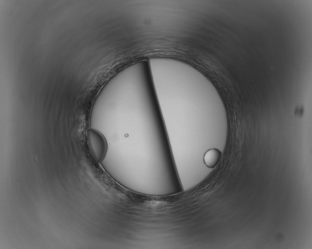 X0000111510748200907281314
