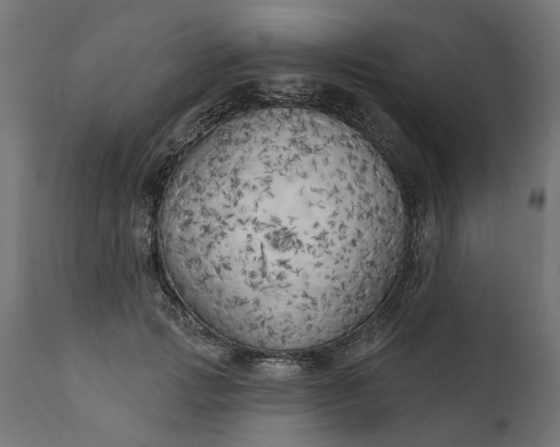 X0000111510749200907281314