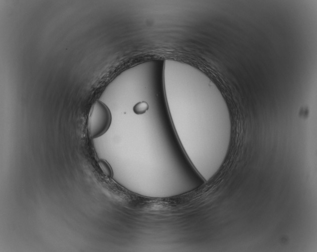 X0000111510750200907281314
