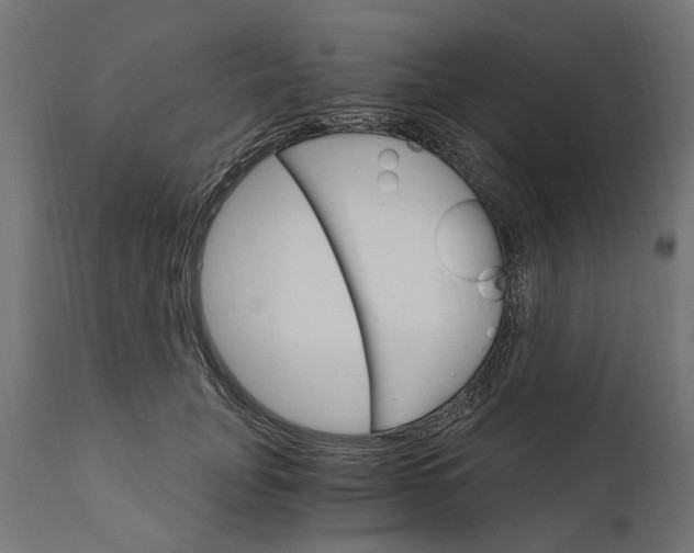 X0000111510751200907281314