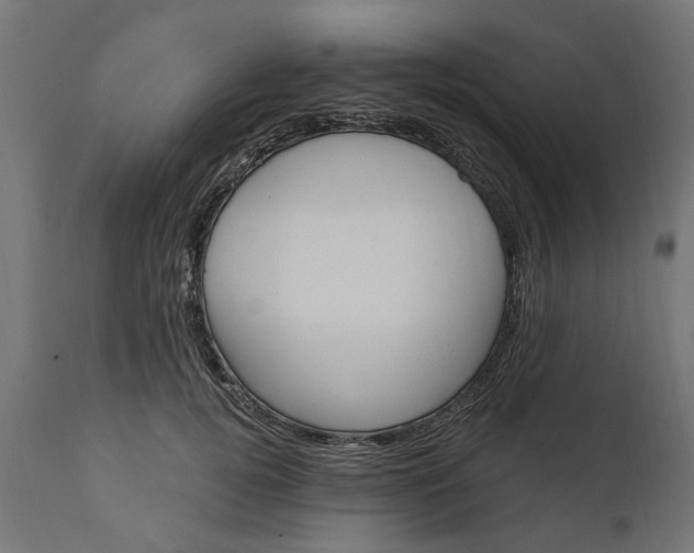 X0000111510752200907281314
